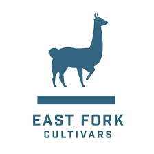 East Fork Cultivars: CBD-Rich Cannabis and Craft Hemp