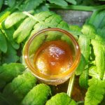 Tree Honey Shatter and Sugar Wax