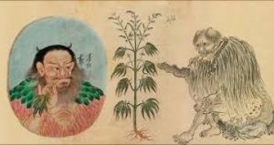 Pen-sao-ching. Source: https://csalabs.com/the-early-history-of-cannabis-and-hemp-in-asia/