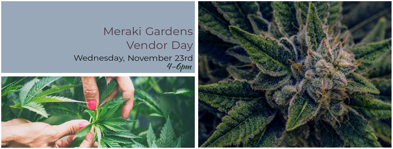 Meraki Gardens Vendor Day at Home Grown Apothecary