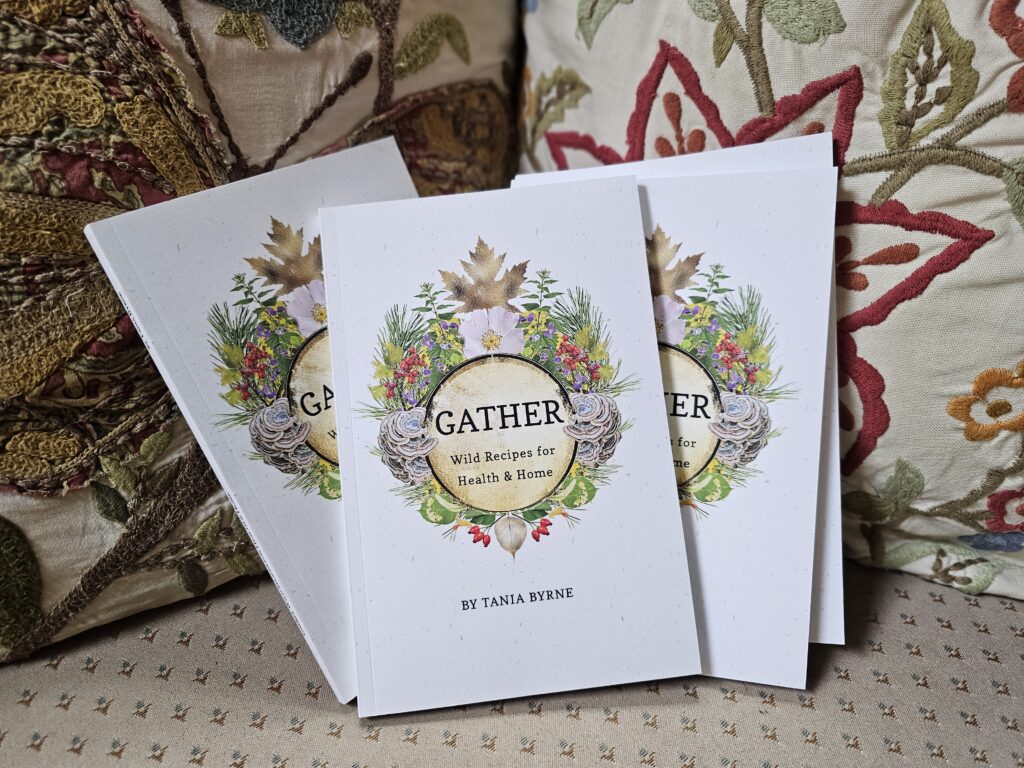 Gather: Wild Recipes for Health and Home by Tania Byrne at Home Grown Apothecary