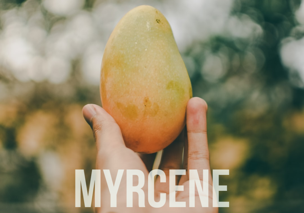 Myrcene